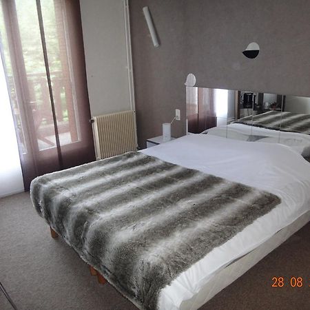 Hotel Bon Accueil Oyonnax Cameră foto